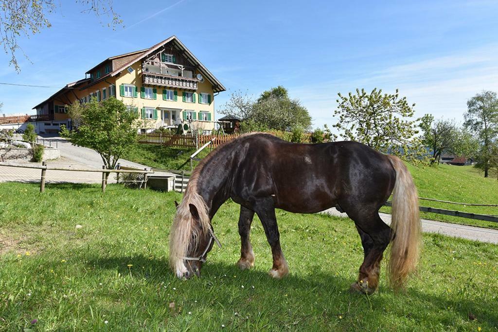 Bio-Bauernhof Heidegger Möggers Exterior foto